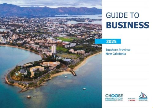 À lire : Guide to business